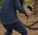 Mountain Snake Moves in Anakapalle