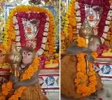 monkey with Gada in Hanuman temple viral video Here