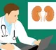 Without the use of medicines these are the ones that naturally clean the kidneys