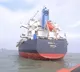 AP Govt apponted SIT to probe rice smuggling from Kakinada Port