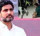 Minister Nara Lokesh Reacts to Viral Video of Trainee Abuse