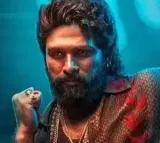 They Are Not Our Members: Allu Arjun Fans and Welfare Association Responds