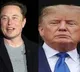 Elon Musk Spent 270 Million Dollars To Help Donald Trump Win US Presidency