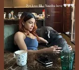 Samantha Insta Post About Her Pet Gone Viral