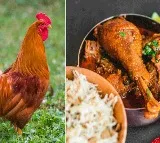 Promising Loan Bank Manager Eats Desi Chicken worth Rs 39000 from Chhattisgarh Farmer
