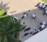 Video Leaked from Manchu Family Farmhouse