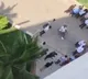Video Leaked from Manchu Family Farmhouse
