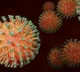 Hundreds of vials of deadly virus go missing from Queensland lab