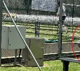 Sarfaraz Khan was seen sitting behind the nets to collect the balls and Pics gone Viral