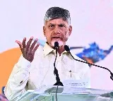 Chandrababu Naidu Speaks to Allu Arjun Over the Phone
