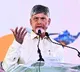 Chandrababu Naidu Speaks to Allu Arjun Over the Phone