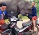 elephant refuses to let the man who raised him leave