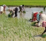 RBI Announces Major Relief on Farm Loans