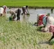 RBI Announces Major Relief on Farm Loans