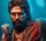 Allu Arjun's Pushpa-2 Smashes Hindi Box Office Records