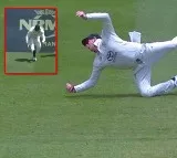 Steve Smith Stunning Catch in Brisbane Test