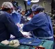 US surgeons complete fifth gene-edited pig organ transplant