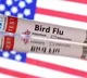 California declares state of emergency after bird flu infections