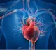 Heart muscle can regenerate after failure in some people with artificial hearts: Study