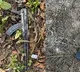 3 Khalistani terrorists encountered