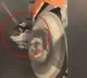 UP Men Dragged Under Speeding Truck