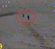 Scared North Korean Soldiers Run As Ukraine Drones Chase Them