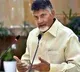 ap cm chandrababu delhi tour meet pm modi amit shah nirmala sitharaman
