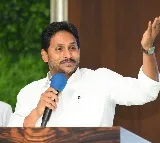 Hats Off to the Dedication and Integrity of Party Cadres: Jagan