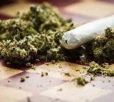 Techie Arrested for Selling Ganja in Hyderabad Suburb