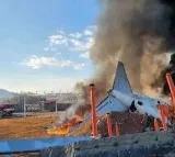 Plane With 181 People Crashes In South Korea