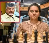 Chandrababu and Lokesh Congratulate Koneru Humpy on Rapid Chess Championship Victory