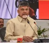 Andhra CM Chandrababu Agrees to Telangana Recommendation Letters for TTD Darshan