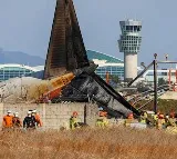 South Korea Plane Crash: How Did Only Two Out of 181 Survive? Where Were They Seated?