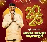 CM Chandrababu Naidu’s Vision for Andhra Pradesh in 2025