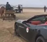 Ferrari Car Rescued by Bullock Cart on Raigad Beach: Viral Video