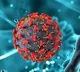 Chinese Virus HMPV Detected in Bengaluru, Eight-Month-Old Baby Infected
