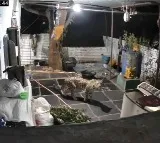 Leopard Enters Srisailam Temple Priest’s House: CCTV Footage Goes Viral