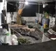 Leopard Enters Srisailam Temple Priest’s House: CCTV Footage Goes Viral
