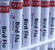 First Bird Flu Death Records In America