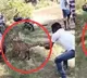 Viral: Man Shows Incredible Bravery, Holds Leopard’s Tail to Stop Its Escape