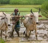 PM-KISAN Scheme: 'Farmer Identification ID' Mandatory for New Beneficiaries