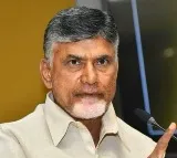 Stampede Incident: Chandrababu Expresses Serious Concern, Issues Key Orders