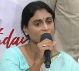 Prime Minister Modi Betrayed Andhra Pradesh: YS Sharmila