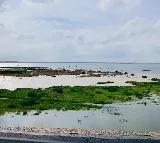 Five Hyderabad Youth Drown in Konda Pochamma Sagar Reservoir