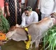 Minister Nadendla Inaugurates Mini Gokulams in Kollipara Mandal
