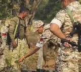 Three Naxalites killed in encounter in Bijapur district of Chhattisgarh on Sunday