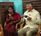 CM Chandrababu Launches Piped Natural Gas Supply in Tiruchanur
