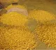Telangana Receives Sankranti Gift: Union Minister Piyush Goyal to Inaugurate National Turmeric Board Today