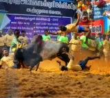 Tamil Nadu's Jallikattu Begins with Exciting Prizes for Participants