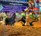 Tamil Nadu's Jallikattu Begins with Exciting Prizes for Participants